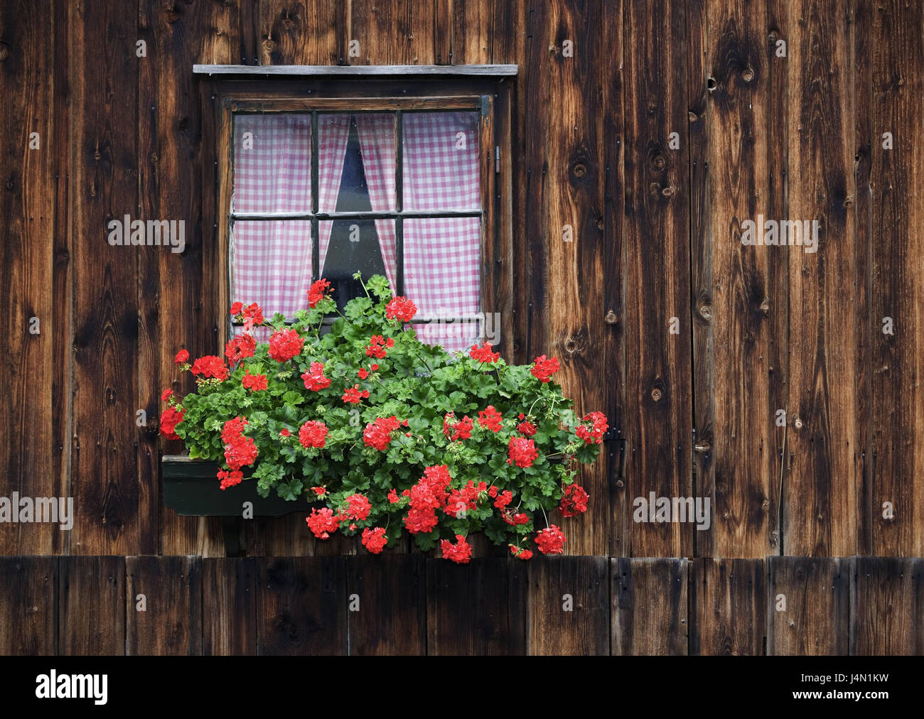 Steelworks, flower window, wooden hut, mountain steelworks, house, facade, old, rurally, rustic, farmhouse, wooden house, geraniums, flowers, window box, Austria, salt chamber property, Stock Photo