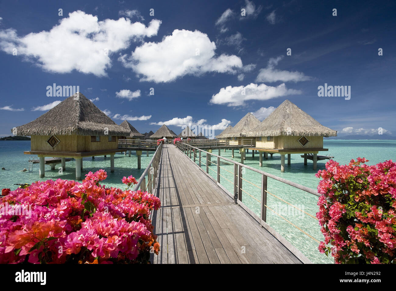 French Polynesia, Bora Bora, Intercontinental Resort, beach, Stock Photo