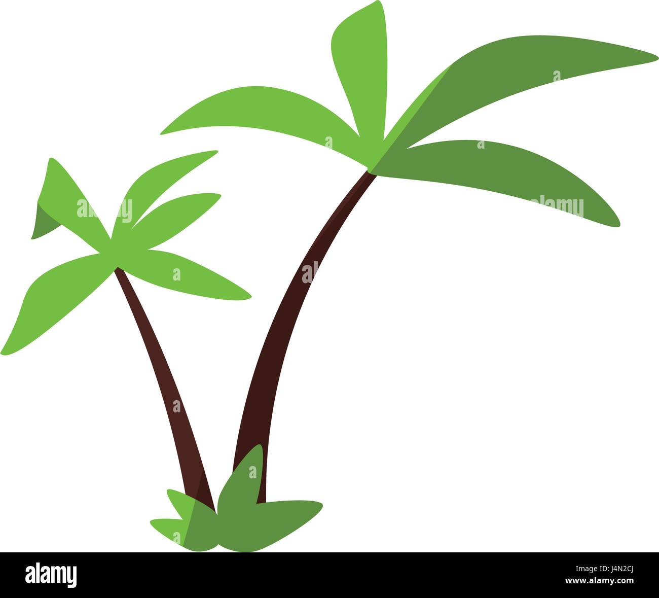 palm tree icon image Stock Vector Image & Art - Alamy