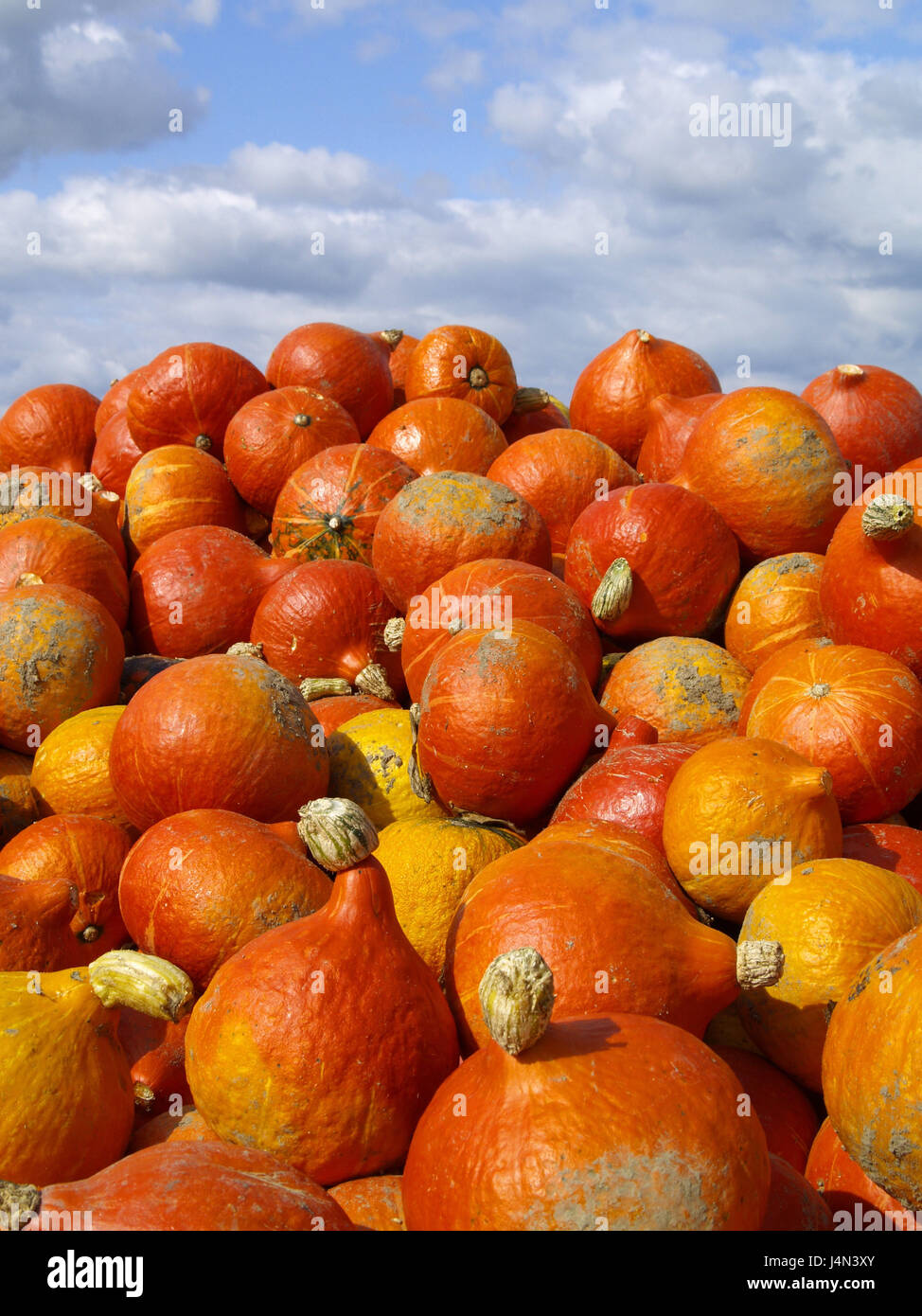Sort of hokkaido hi-res stock photography and images - Alamy