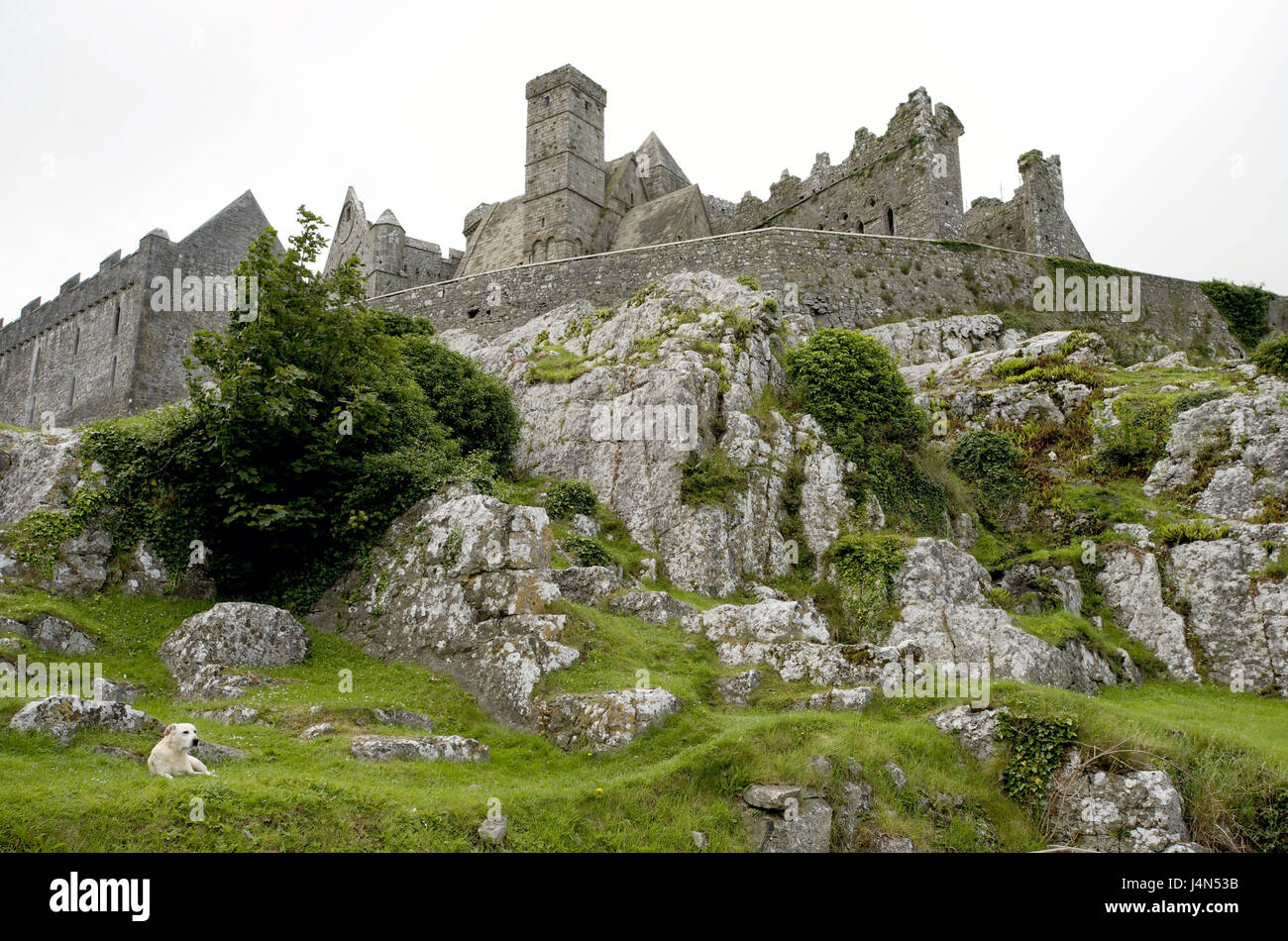 Building in Cashel