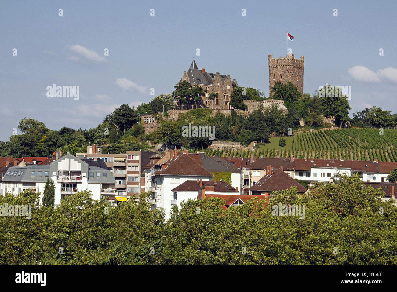 Germany, RhinelandPalatinate, Bingen on the Rhine, town view, castle