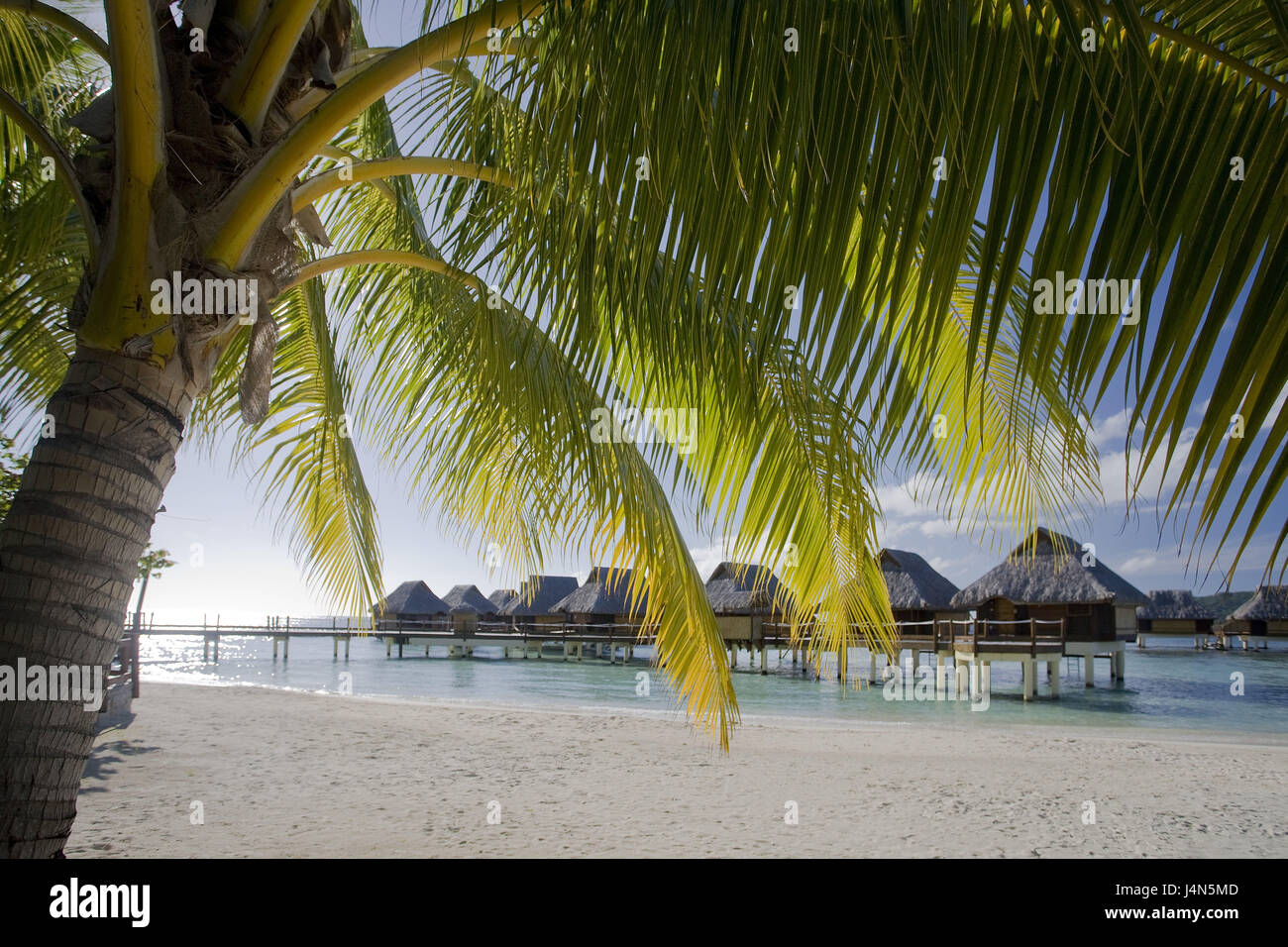 French Polynesia, Bora Bora, palm beach, sea, building on stilts, Stock Photo