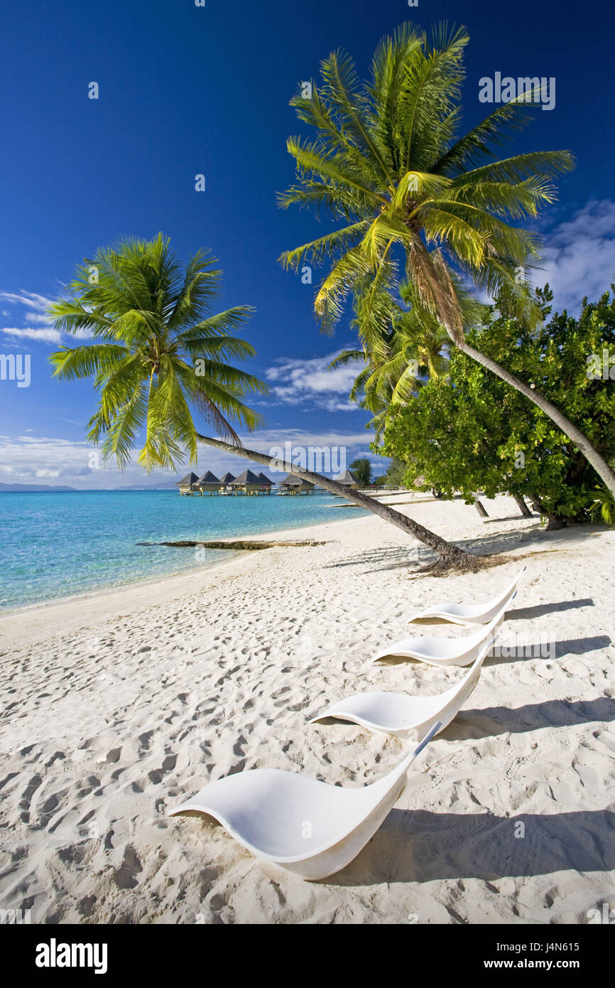 French Polynesia, Bora Bora, palm beach, Stock Photo