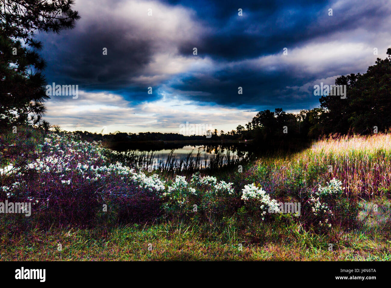 Beautiful land hi-res stock photography and images - Alamy
