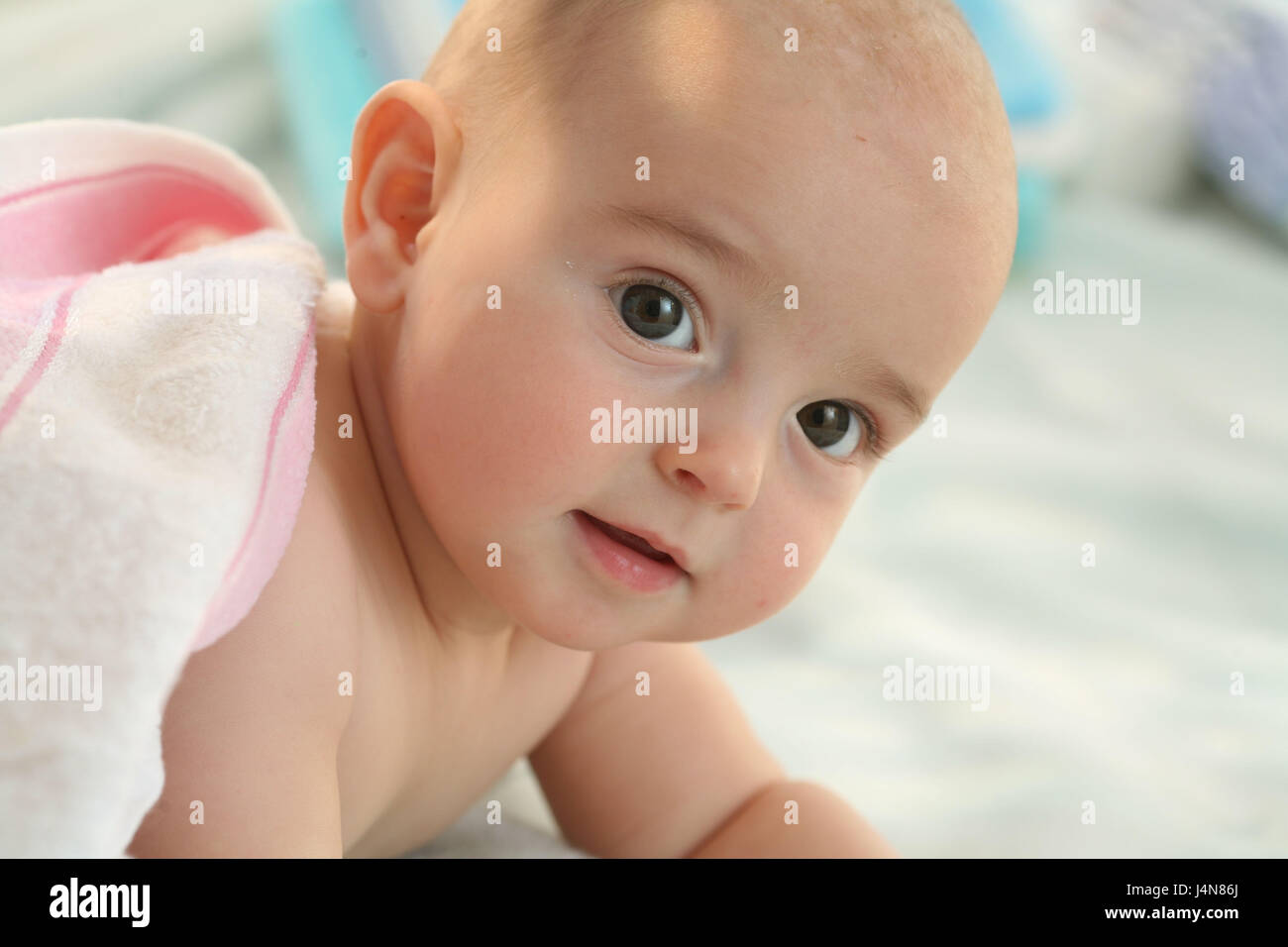 Baby, 4 months, portrait, curled, Stock Photo