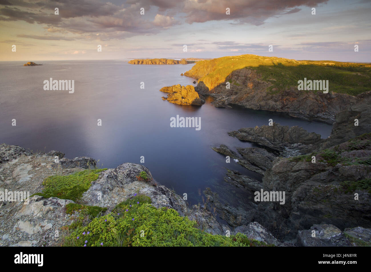 Canada, Twillingate, coastal scenery, evening light, Notre lady Bay, Stock Photo