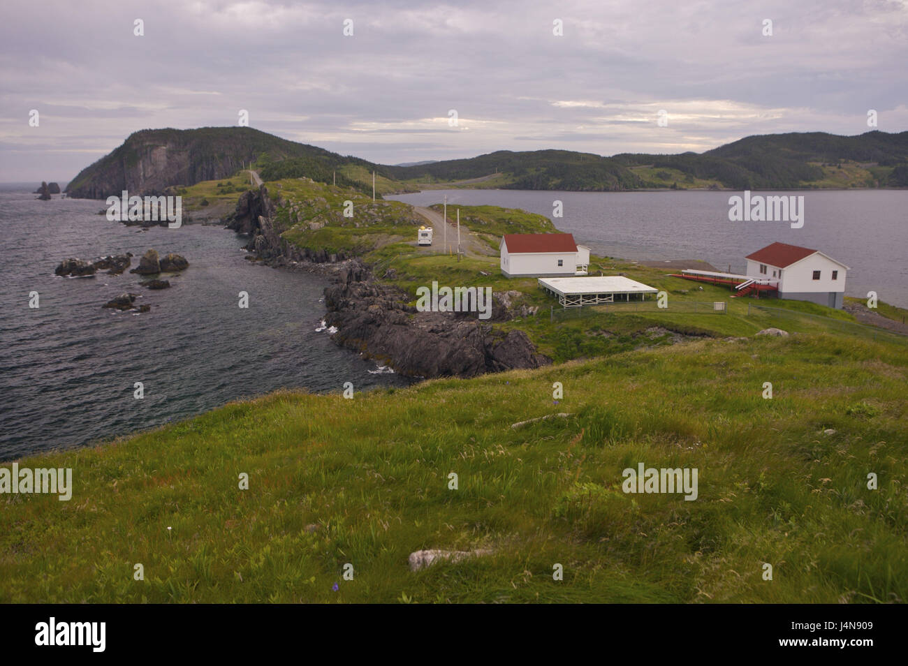 Canada, Newfoundland, Bonavista Peninsula, Admiral's Point, coastal scenery, houses, Trinity Bay