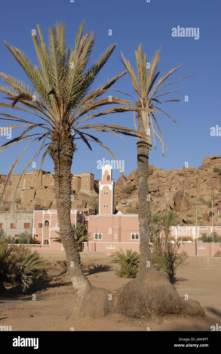 Morocco, Tafraoute, mosque, palms, Africa, anti-atlas, rock, mountains, building, faith, religion, Islam, minaret, pink, travel, North Africa, place of interest, destination, Stock Photo