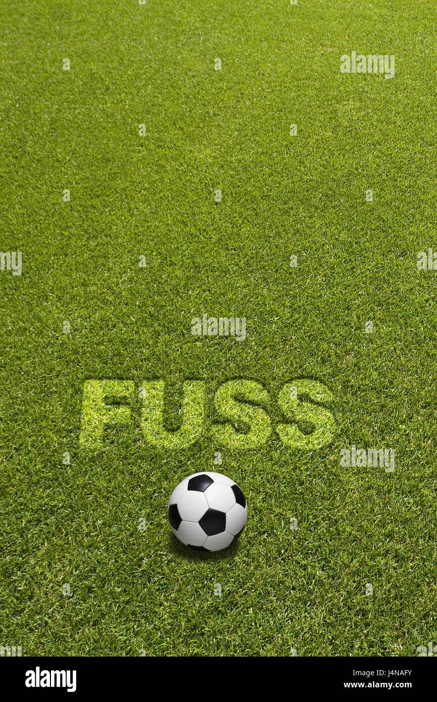 Turfs, chopped, stroke, FOOT, football, character font, ball, outside, cut, mowed, ball sport, ball game, ball sport, detail, football field, football pitch, football turf, grass, chopped, green, conception, briefly, deserted, medium close-up, lawn, turf game, outdoor sport, game, sport, sports facilities, sports site, stadium, sports stadium, sports field, icon, Uefa, European Football Championship in 2008, copy space, Stock Photo