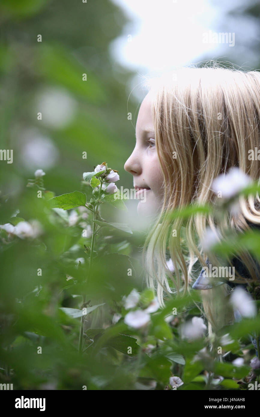 Child meadow smell flower hi-res stock photography and images - Alamy