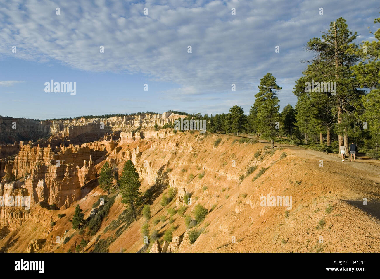 The USA, Utah, Bryce Canyon, plateau, tourist, Stock Photo