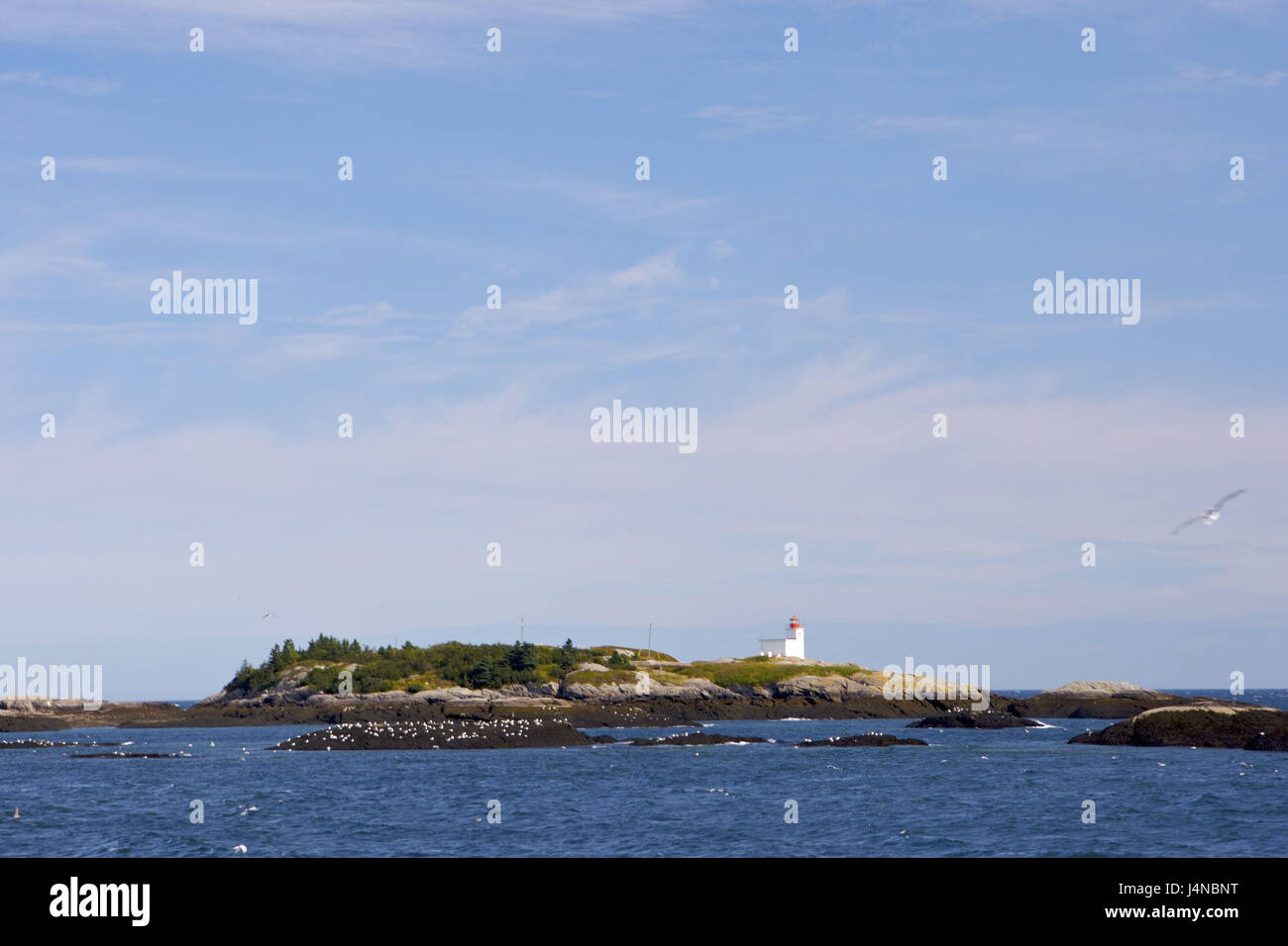 Islands, lighthouse, Blacks Harbour, Bay of Fundy, New Brunswick ...