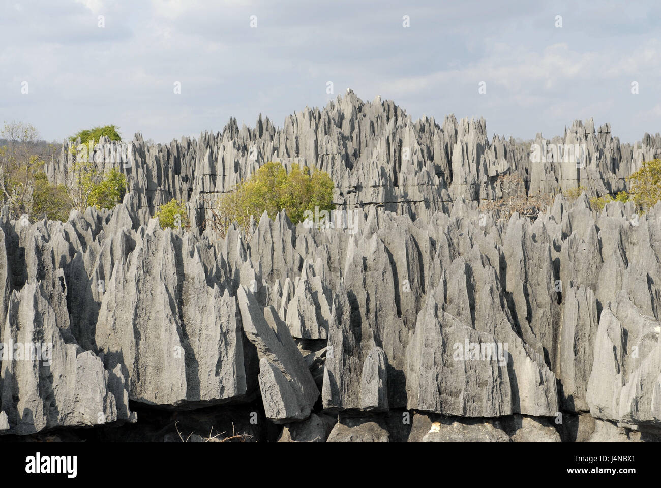 Bile formations, Tsingys, pool temperament integral Tsingy de Bemaraha, Madagascar, Stock Photo