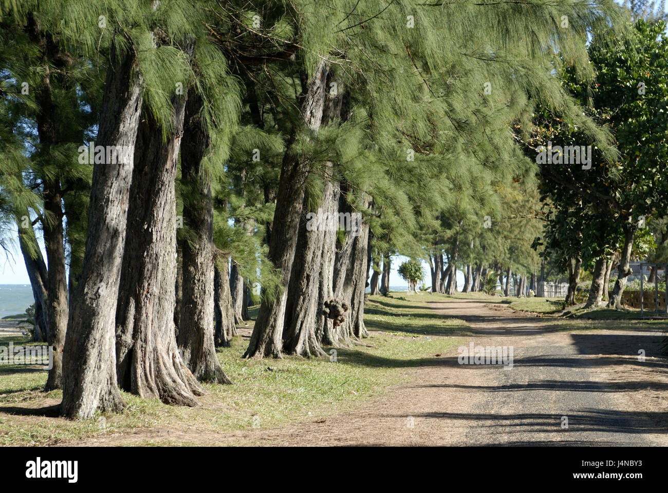 Street, avenue, sea, Manakara, Madagascar, Stock Photo