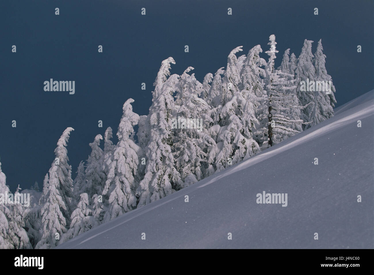 Germany, Bavaria, nice mountain, mountain, trees, winter scenery, beautyful clouds Stock Photo