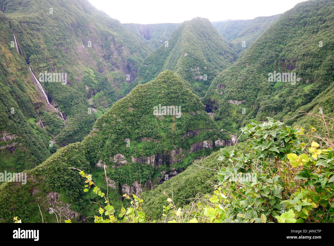 Mountains, primeval forest, waterfalls, Takamaka valley, La Reunion, Stock Photo