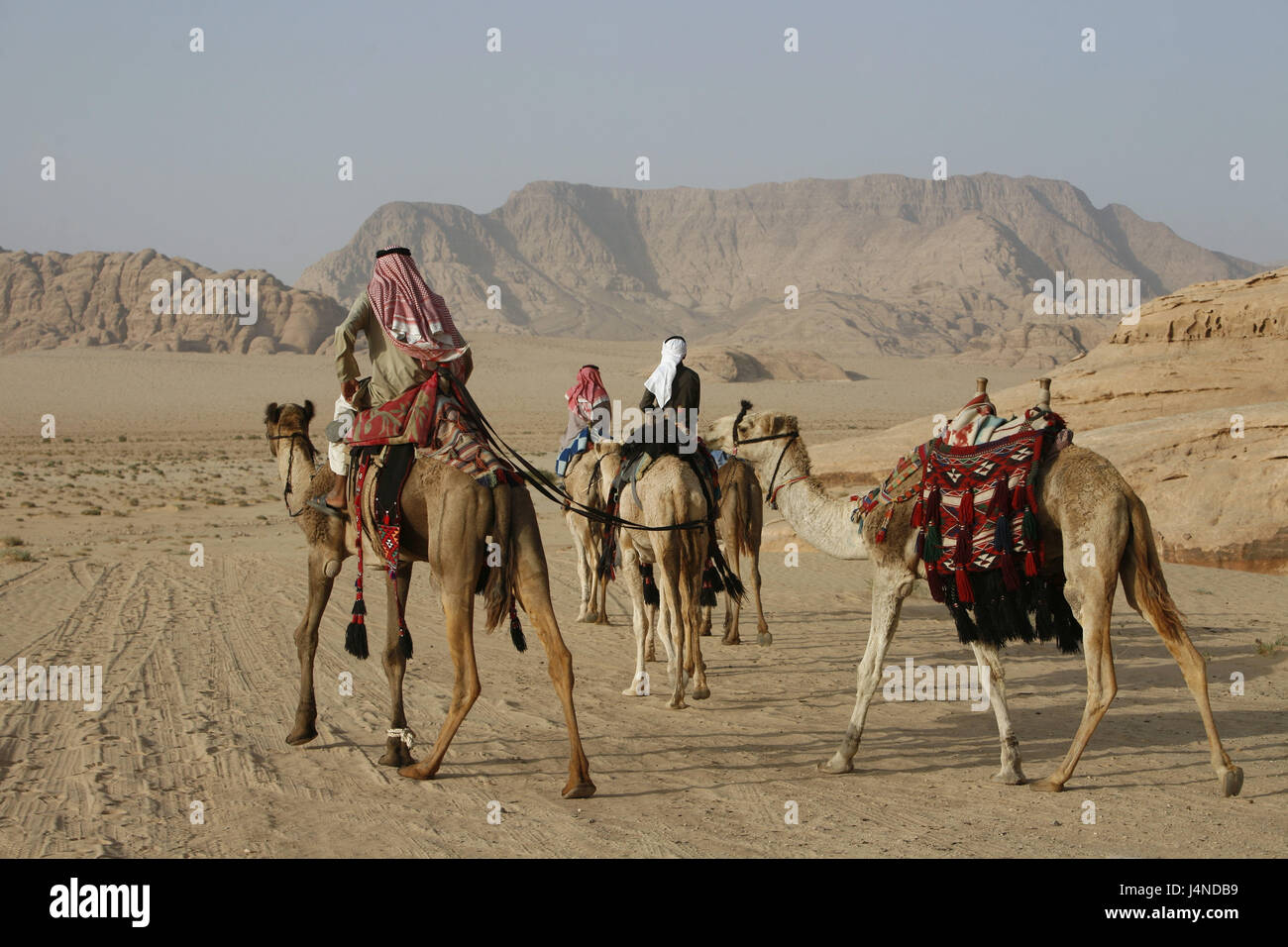 Wild animals of the middle east hi-res stock photography and images - Alamy