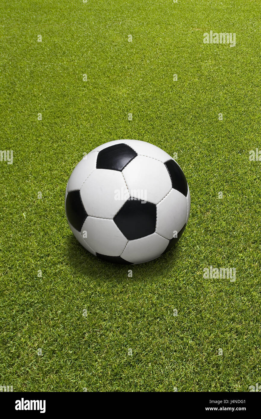 European Football Championship, turf, ball, outside, ball sport, ball game, ball sport, detail, football, football field, football pitch, football turf, grass, turf, green, conception, deserted, medium close-up, lawn, outdoor sport, sport, sports field, icon, tag, Uefa, European championship, championship, team sport, copy space, Stock Photo