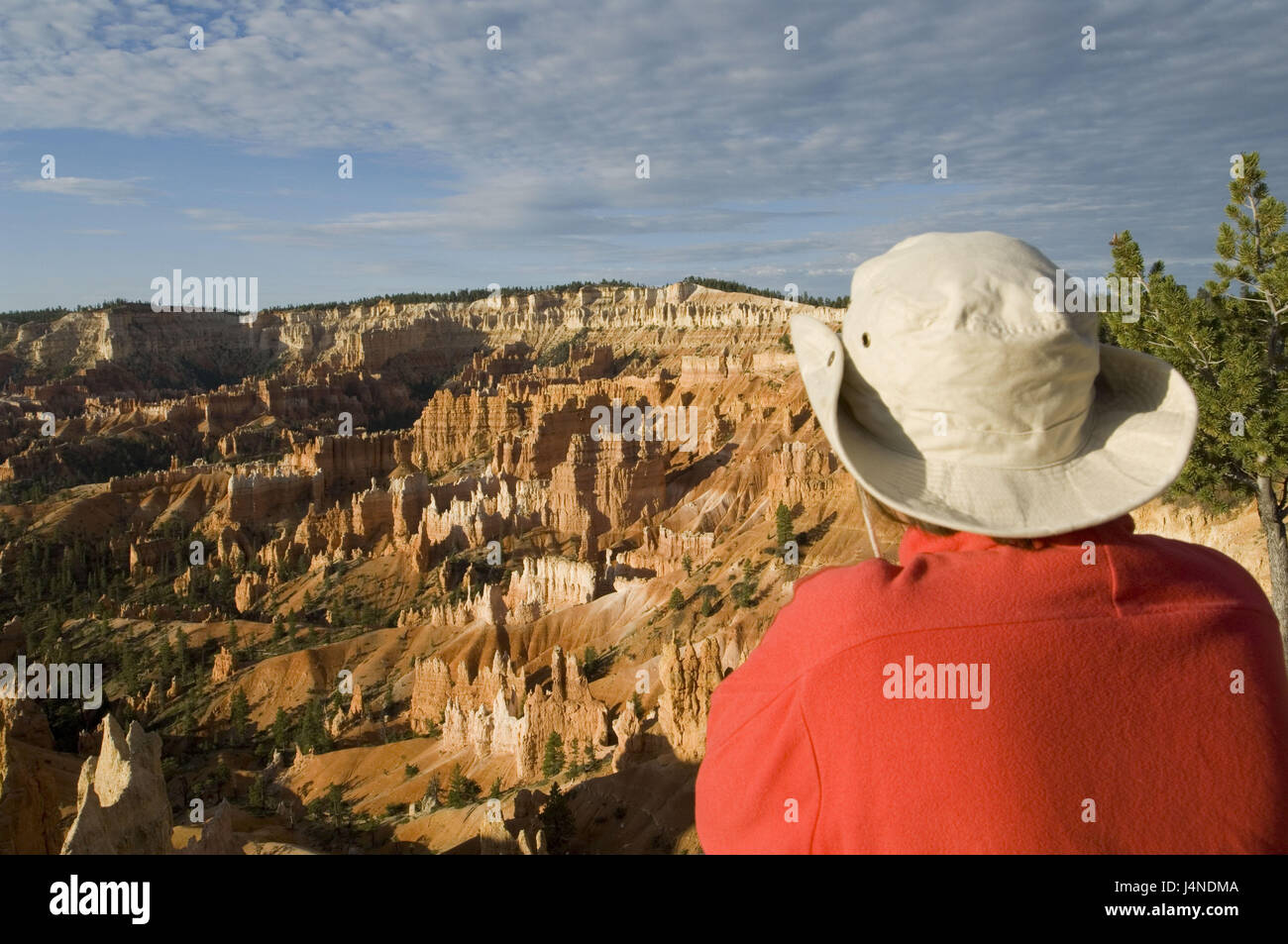 The USA, Utah, Bryce Canyon, plateau, woman, back view, Stock Photo