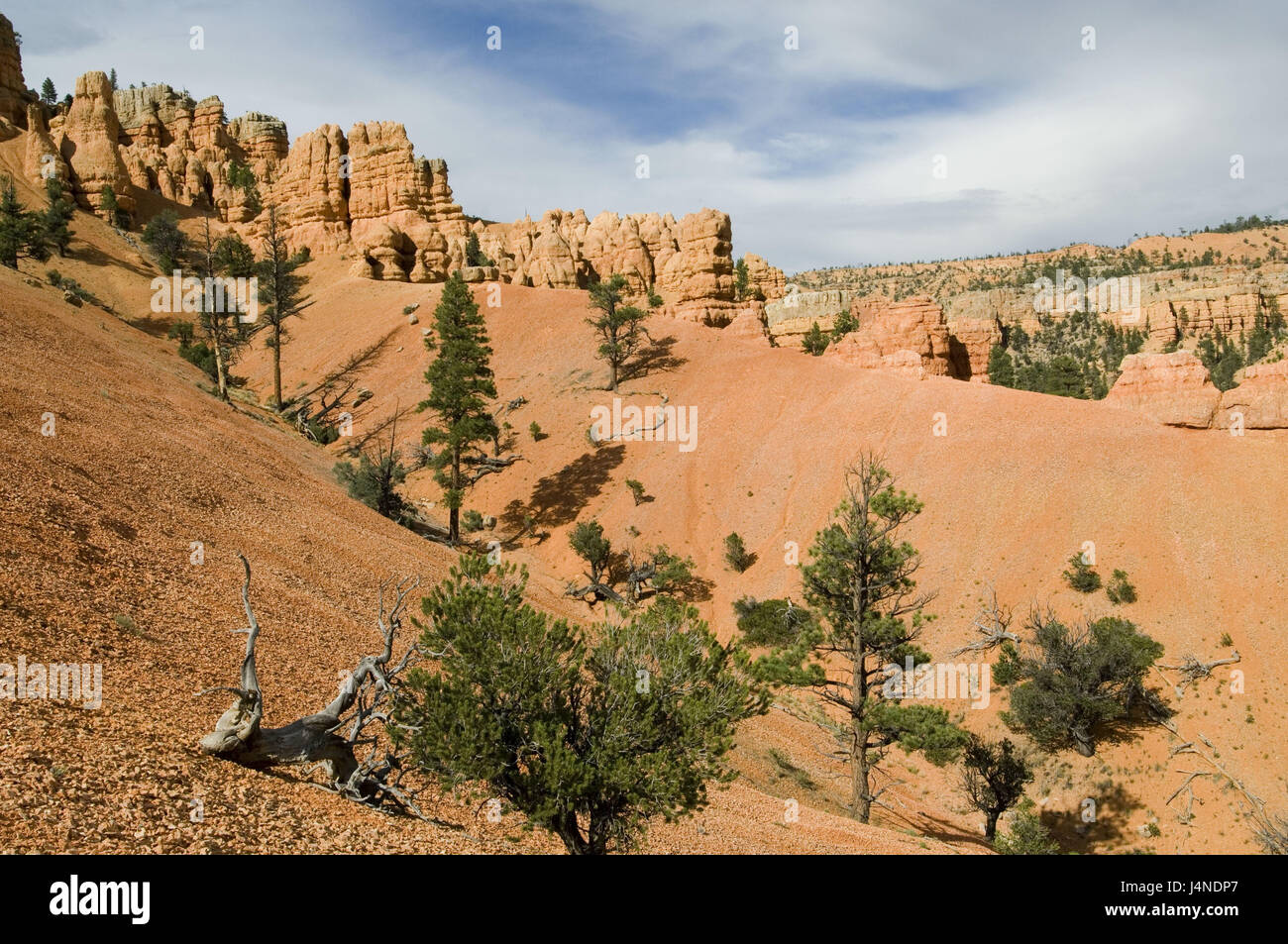 Utah Red The USA, Utah, Red canyon Stock Photo - Alamy