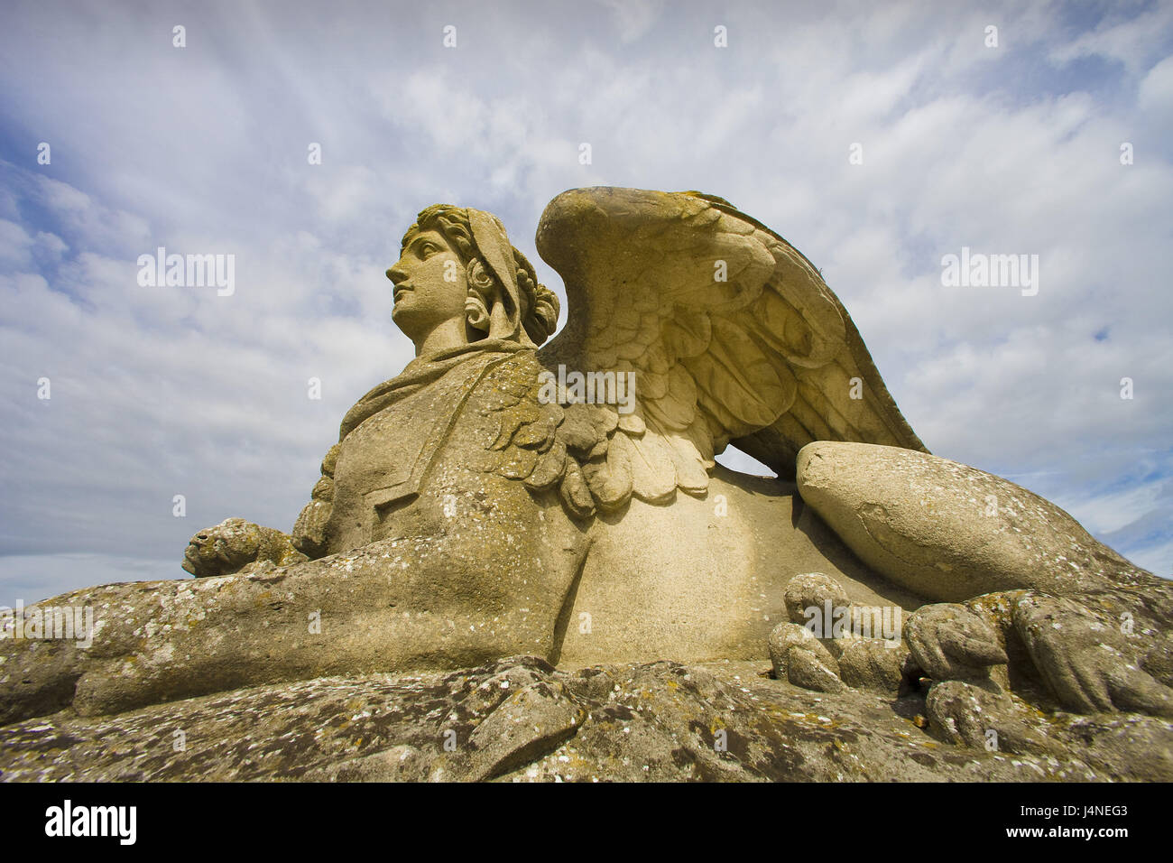 Statue, mythical creature, women's head, wing, lion's body, Stock Photo