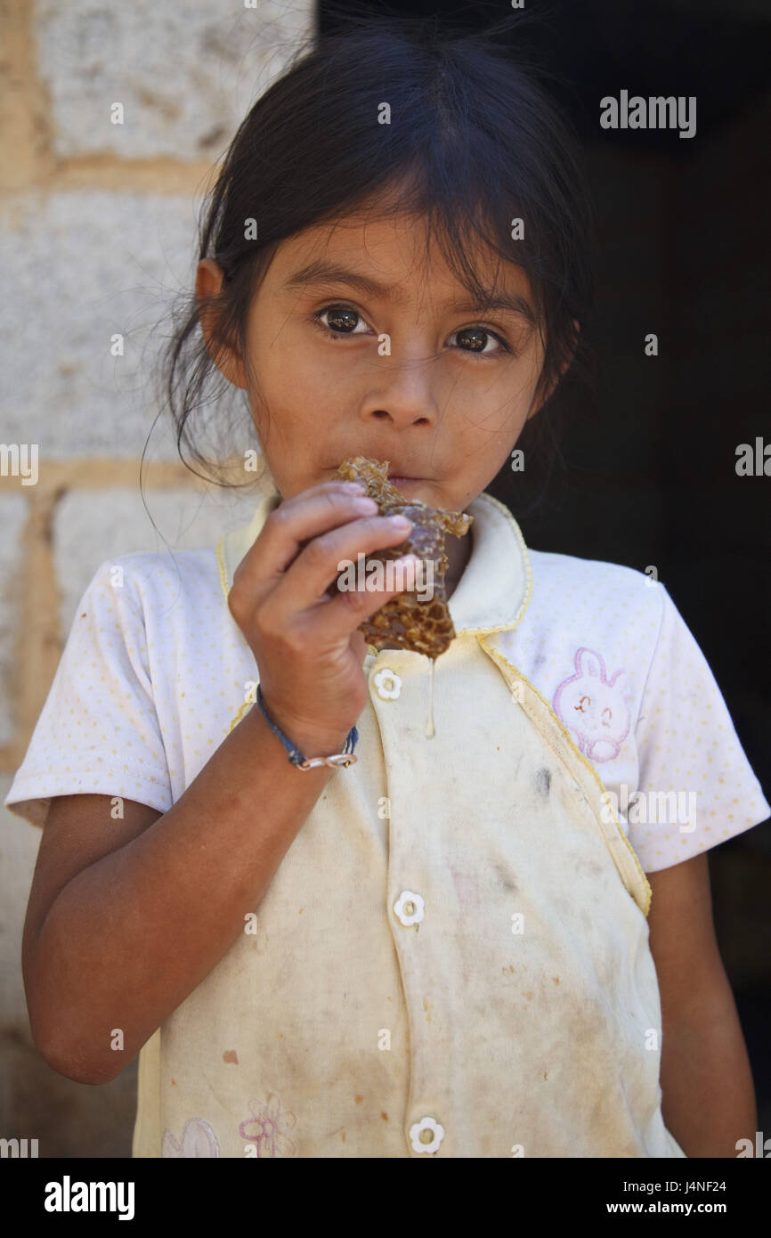 Guatemala, Jacaltenango, girl, honeycombs, eat, half portrait, Stock Photo