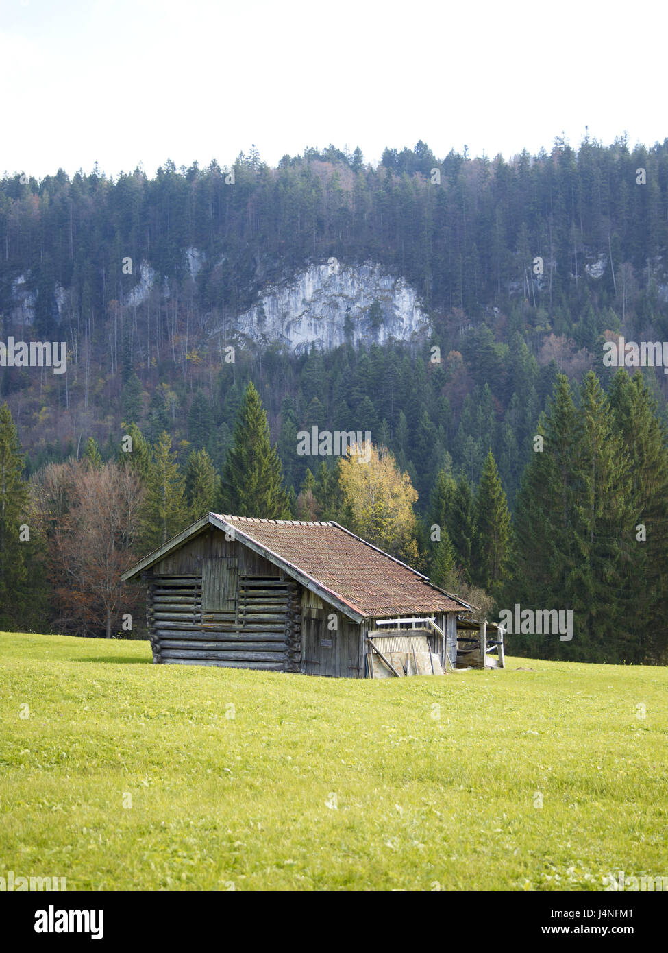 Meadow, hay barn, Stock Photo