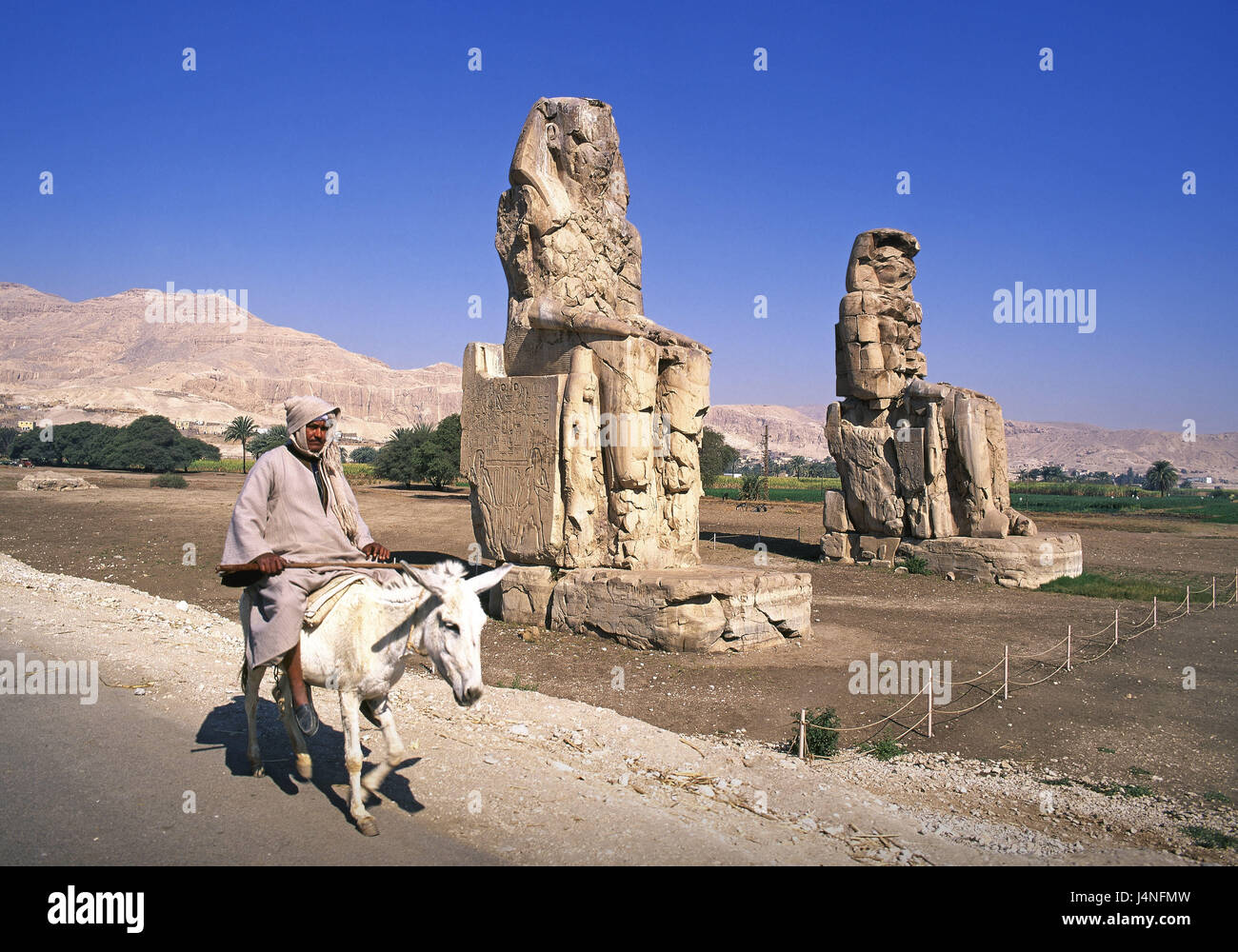 Egypt, Thebes, Memnon colossi, bleeds, Luxor, statues, characters, Memnon, giant statues, Memnon colossi, incredibly, imposingly, seat characters, gigantic characters, man, local, ride, mule, donkey, place of interest, art, culture, historically, story, travel, Stock Photo