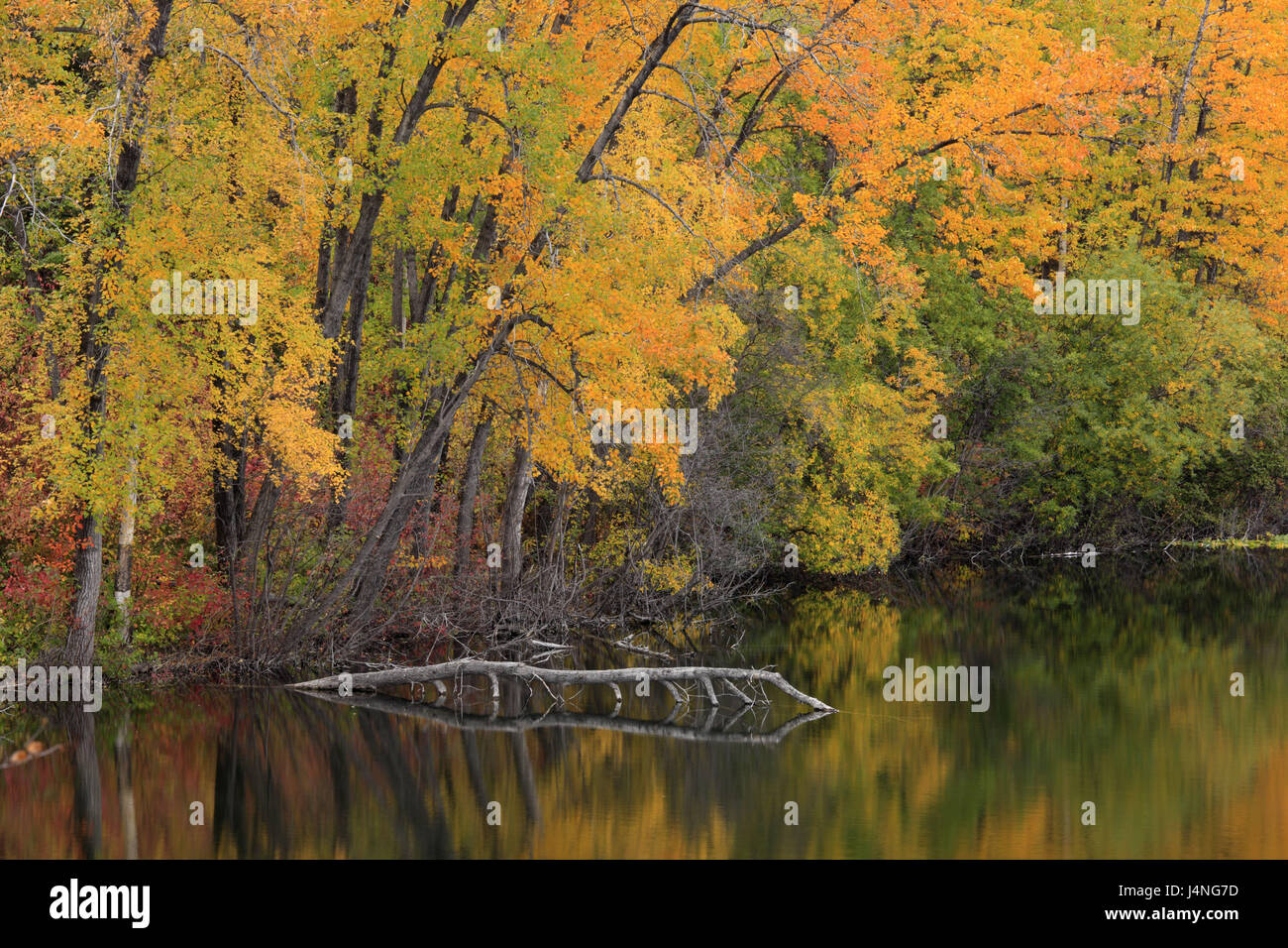 Kepler bradley lake hi-res stock photography and images - Alamy