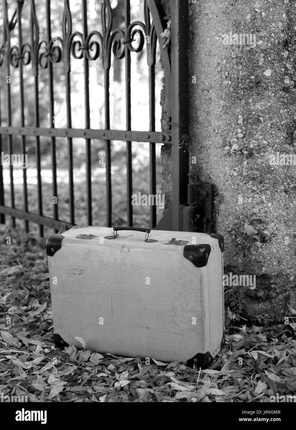 Iron gate, suitcase, outside, s/w, Stock Photo