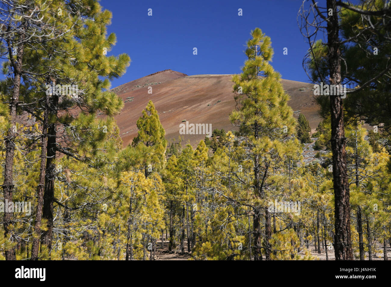 Paisaje High Resolution Stock Photography and Images - Alamy