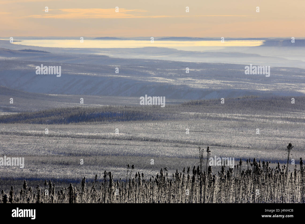 North America, Canada, Yukon territory, Eagle Plains, Dempster highway, Porcupine plateau, winter scenery, Stock Photo