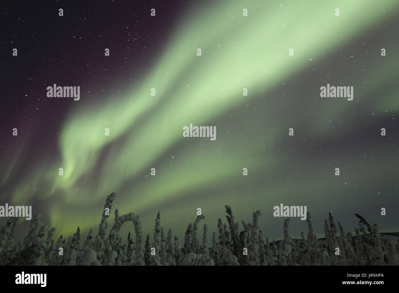 North America, Canada, Yukon territory, Dempster highway, Eagle Plains, northern lights, Aurora borealis, Stock Photo