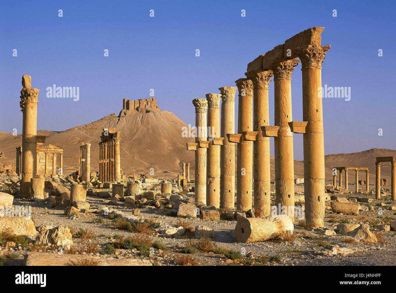 Syria, Palmyra, ruin town, Kolonnadenstrasse, Stock Photo