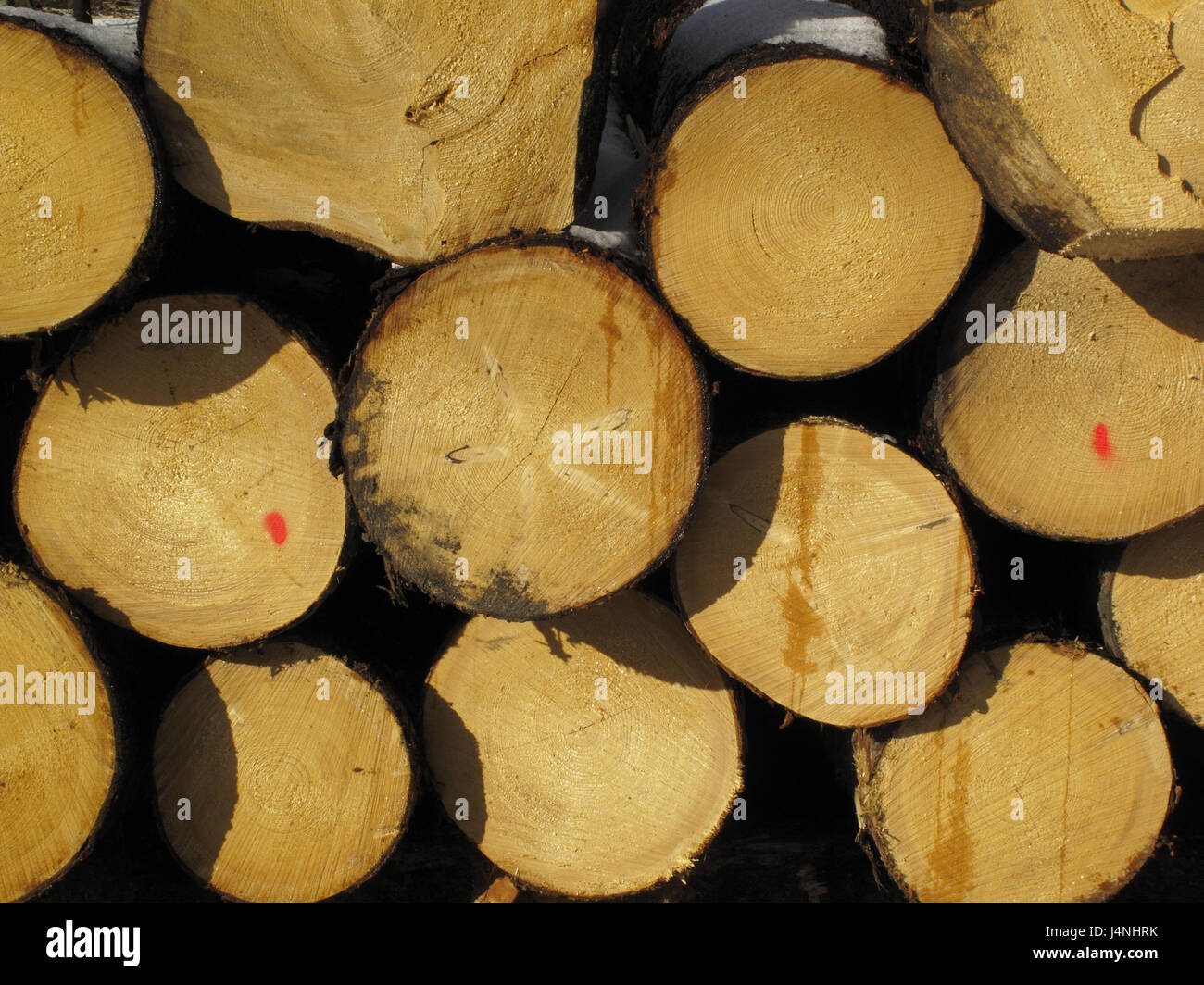 Pile of wood, trunks, detail, heap of impact, pines, trees, strains, firewood, woodwork, energy, fire woodwork, chimney woodwork, wooden batch, batch, raised, storage, drying, heating, heat, fuel, energy supplier, natural, raw material, renewable, growing again, marking, selection, Stock Photo
