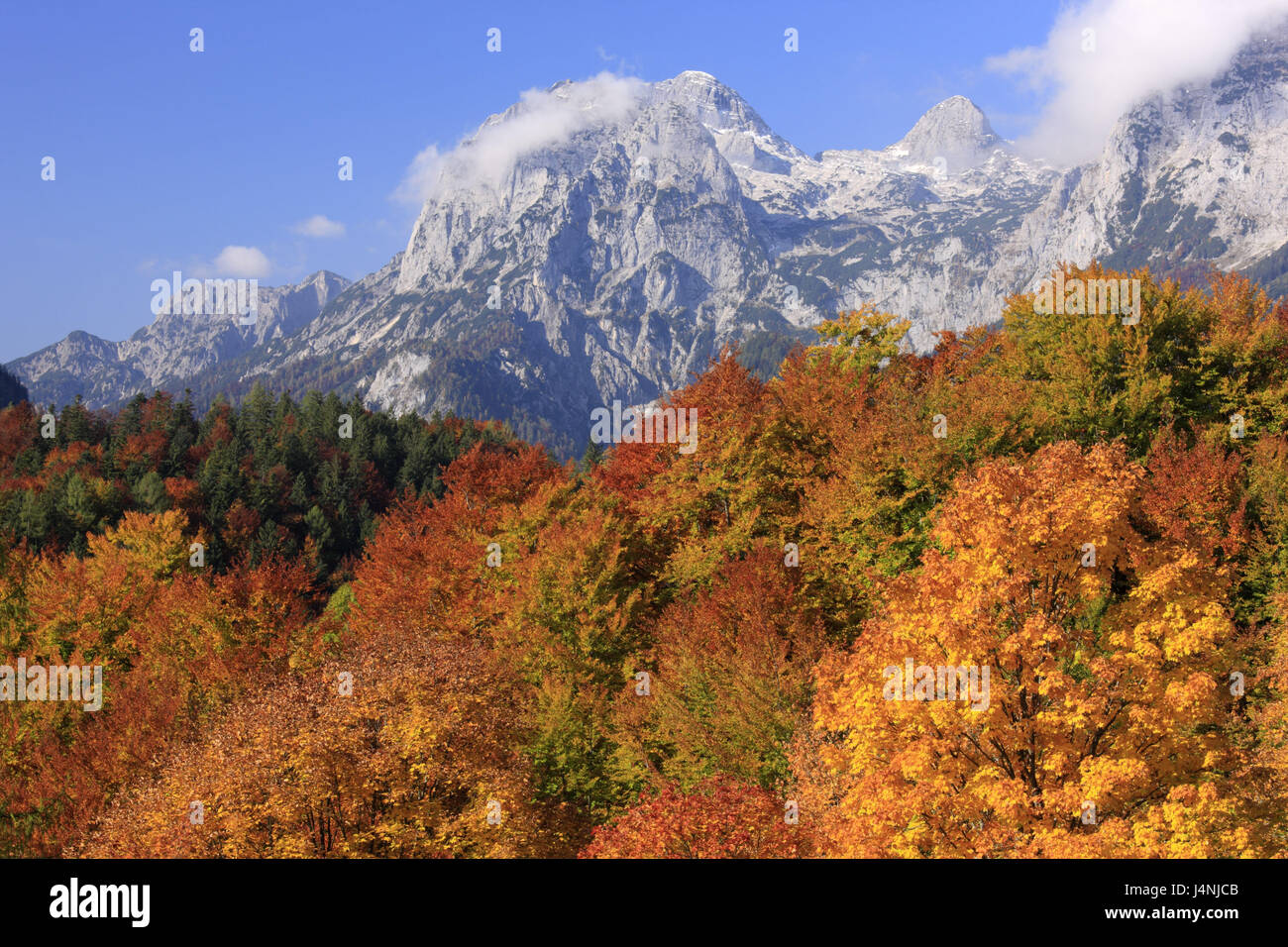 Germany, Upper Bavaria, Berchtesgadener country, Berchtesgadener alps ...