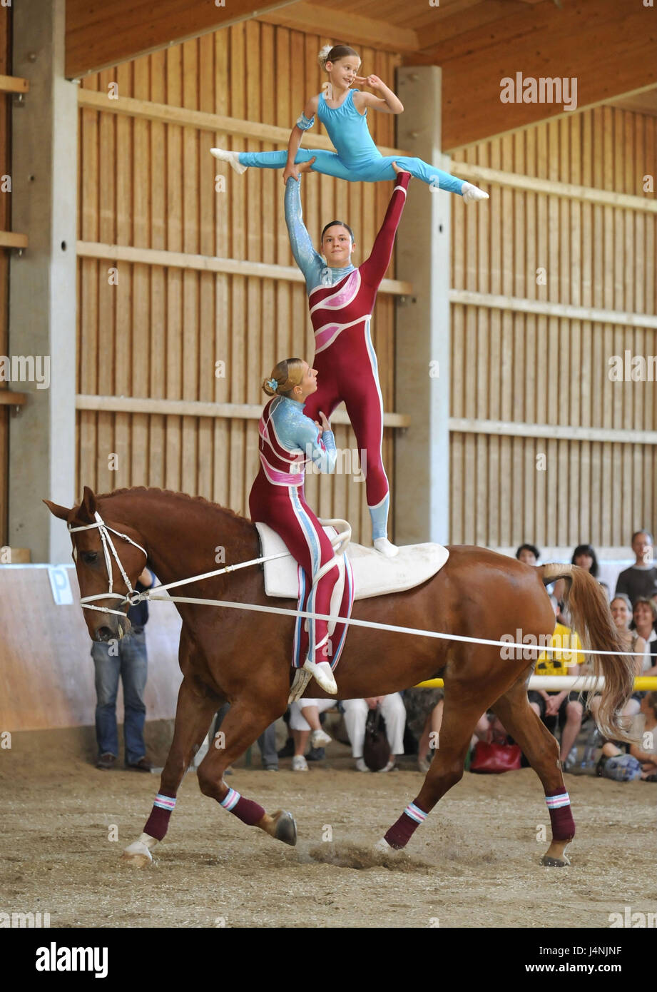Riding hall, girl, horse, Voltigieren, acrobatics, no model release Stock  Photo - Alamy