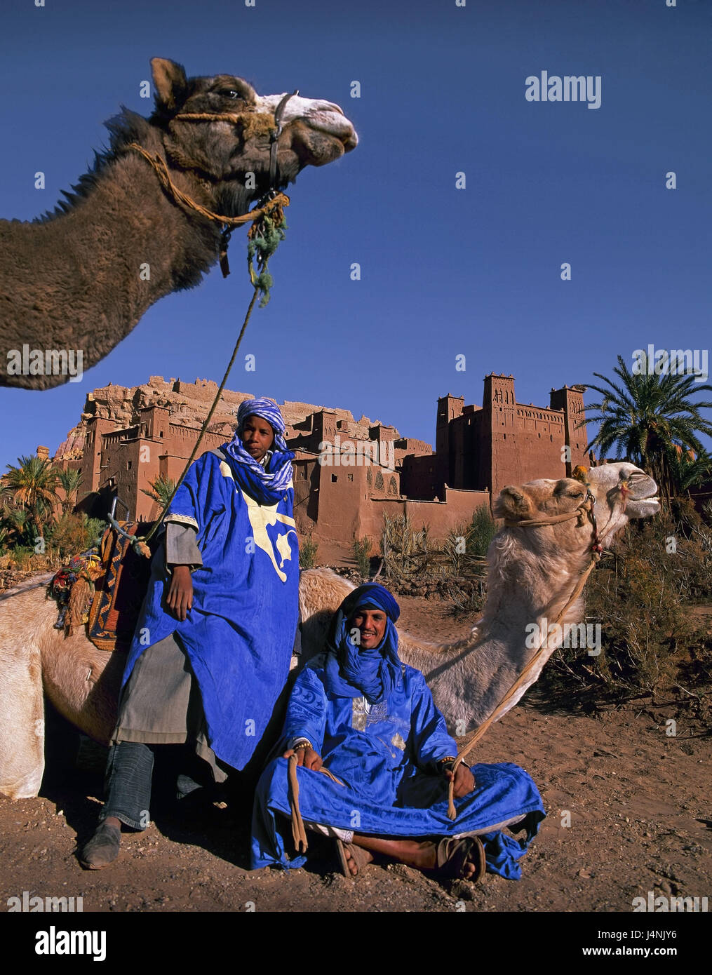 Morocco, Ksar Ait-Ben-Haddou, men, camels, Africa, North Africa, the Atlas Mountains, person, animals, locals, Moroccans, riding animals, kasbah, mucky building, mucky construction method, traditionally, place of interest, Stock Photo