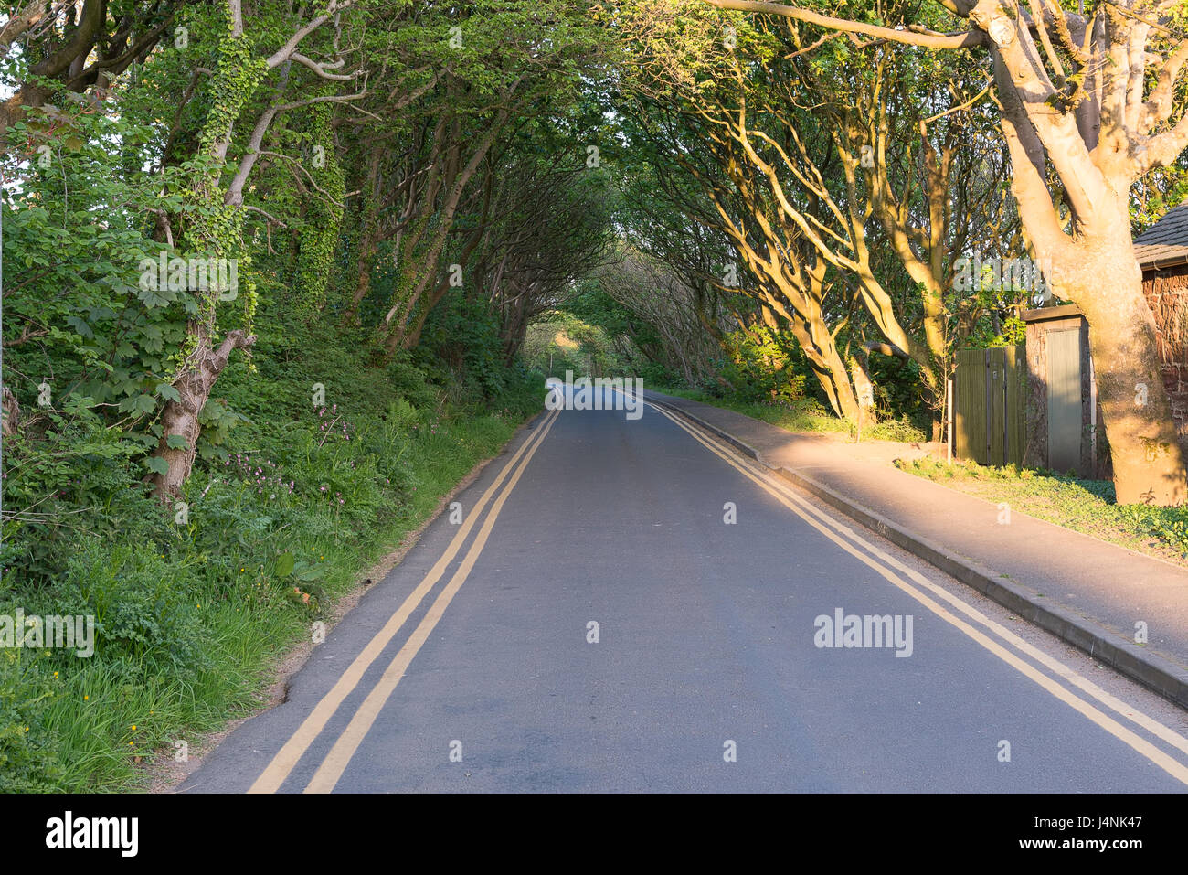 Country Roadway with double yellow lines on both sides Stock Photo Alamy