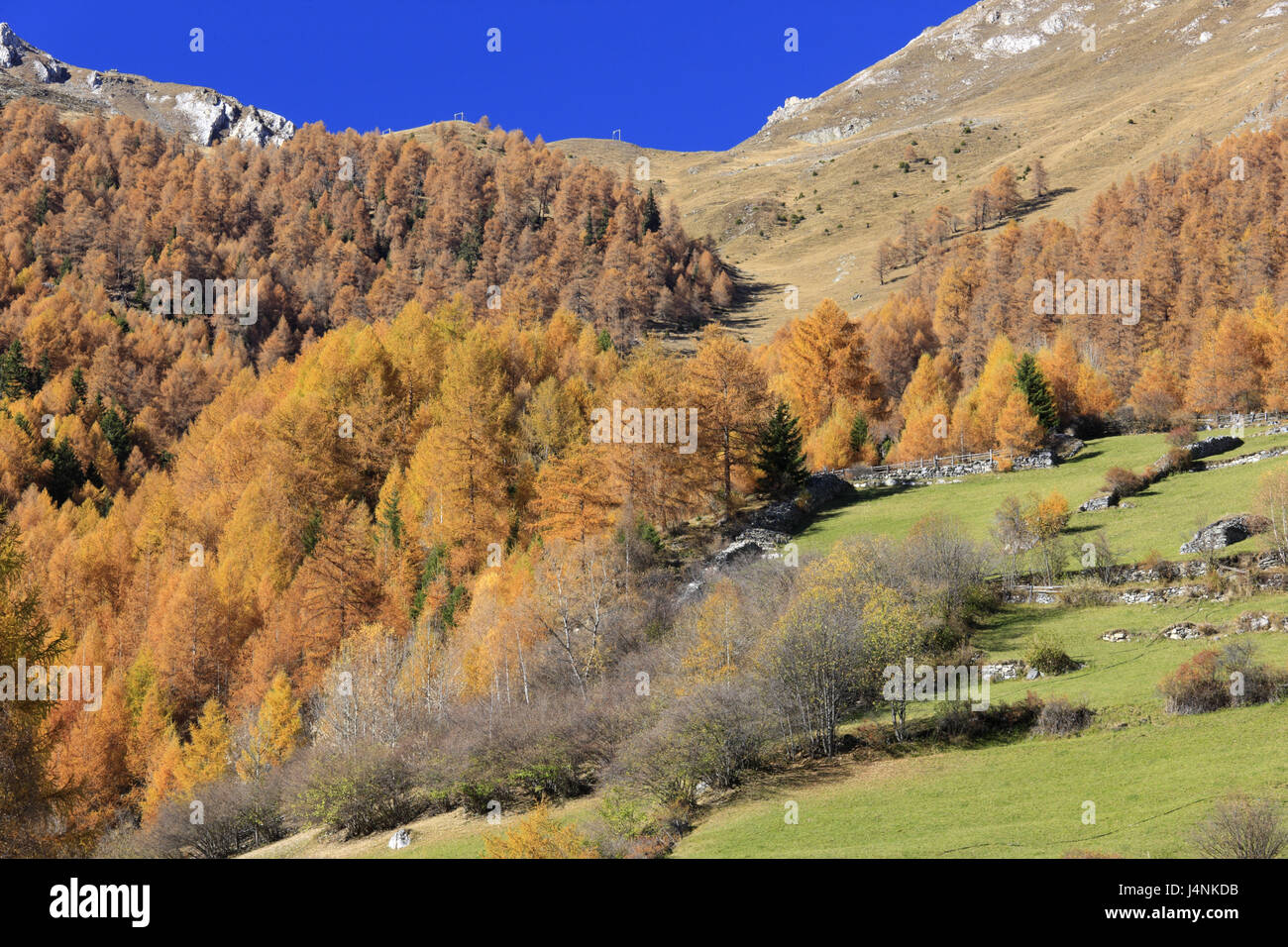Italy, South Tirol, Vinschgau, Martelltal, national park Stilfser col, Martelltal, Stock Photo
