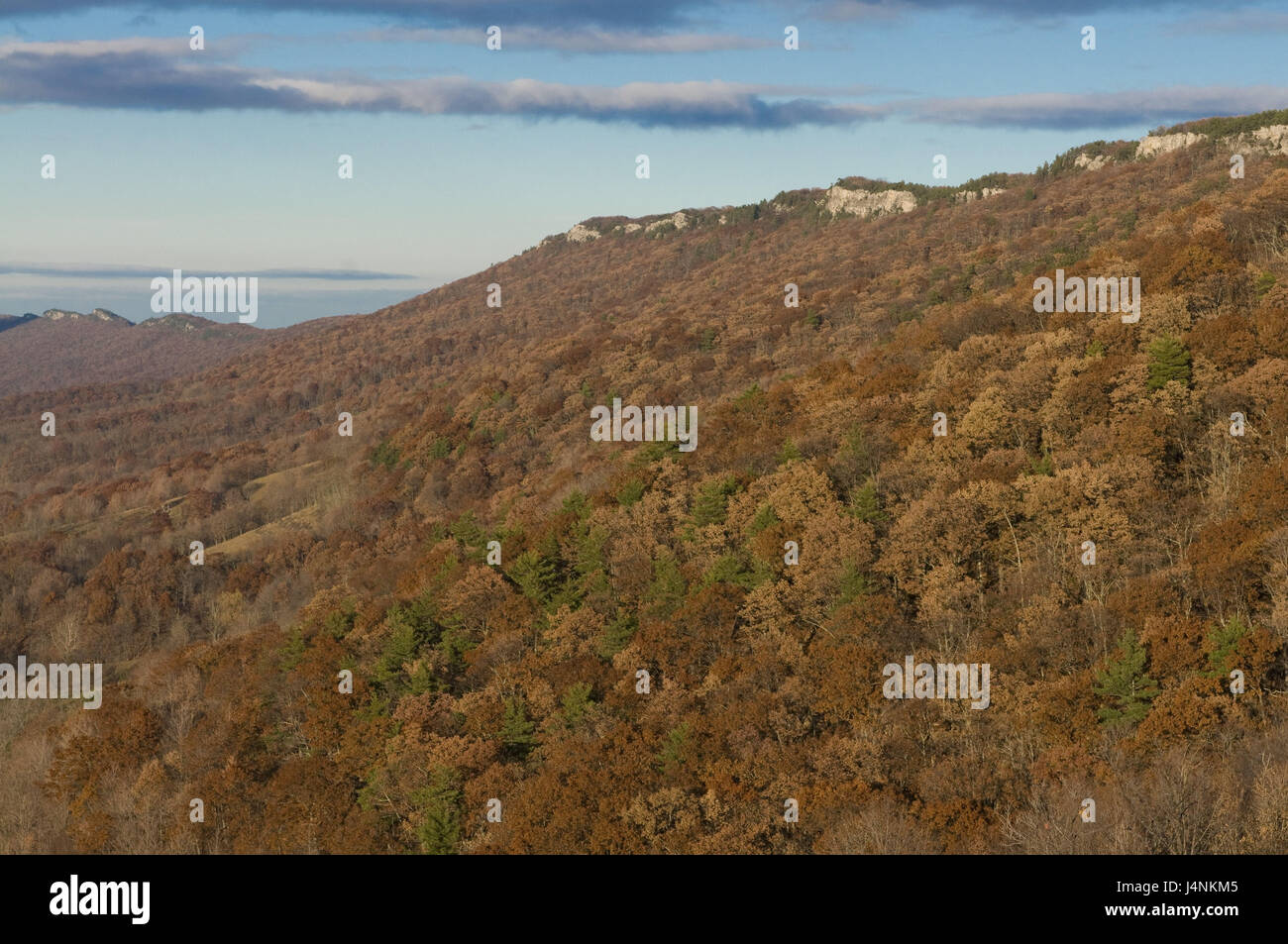 The USA, West Virginia, Allegheny Mountains, scenery, view, Stock Photo