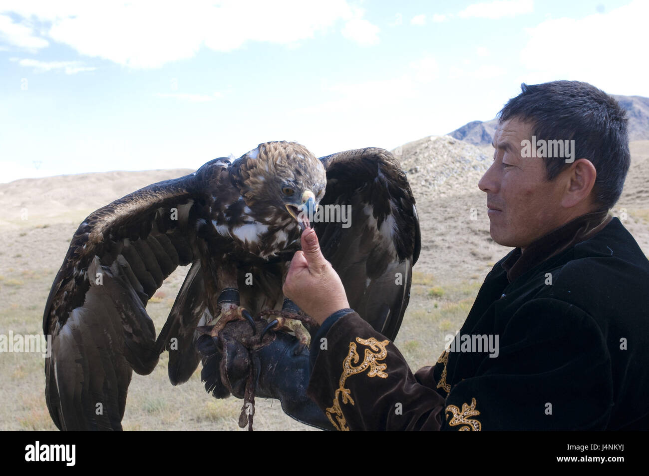 Eagle, bird of prey hunter, Issy Köl, Kirghizistan, Stock Photo