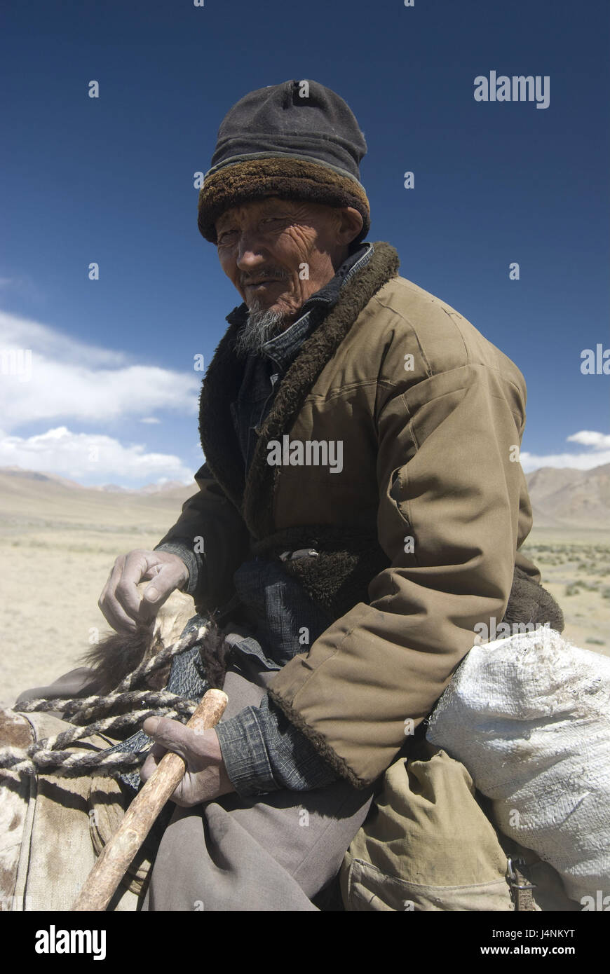 A yak, the Pamir highway, Tajikistan rides man, Stock Photo