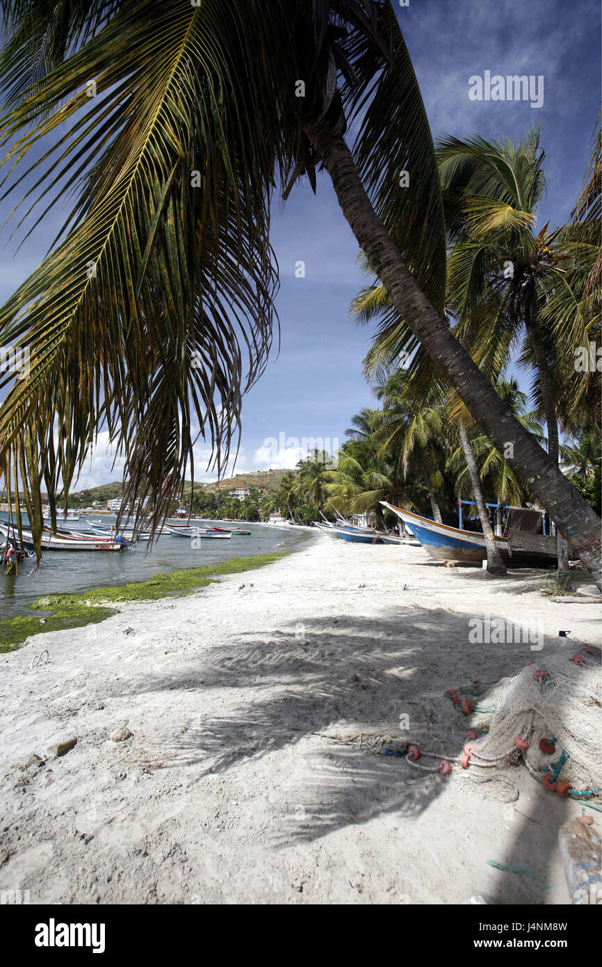 Venezuela, Isla Margarita, Pampatar, beach, palms, boots, Stock Photo