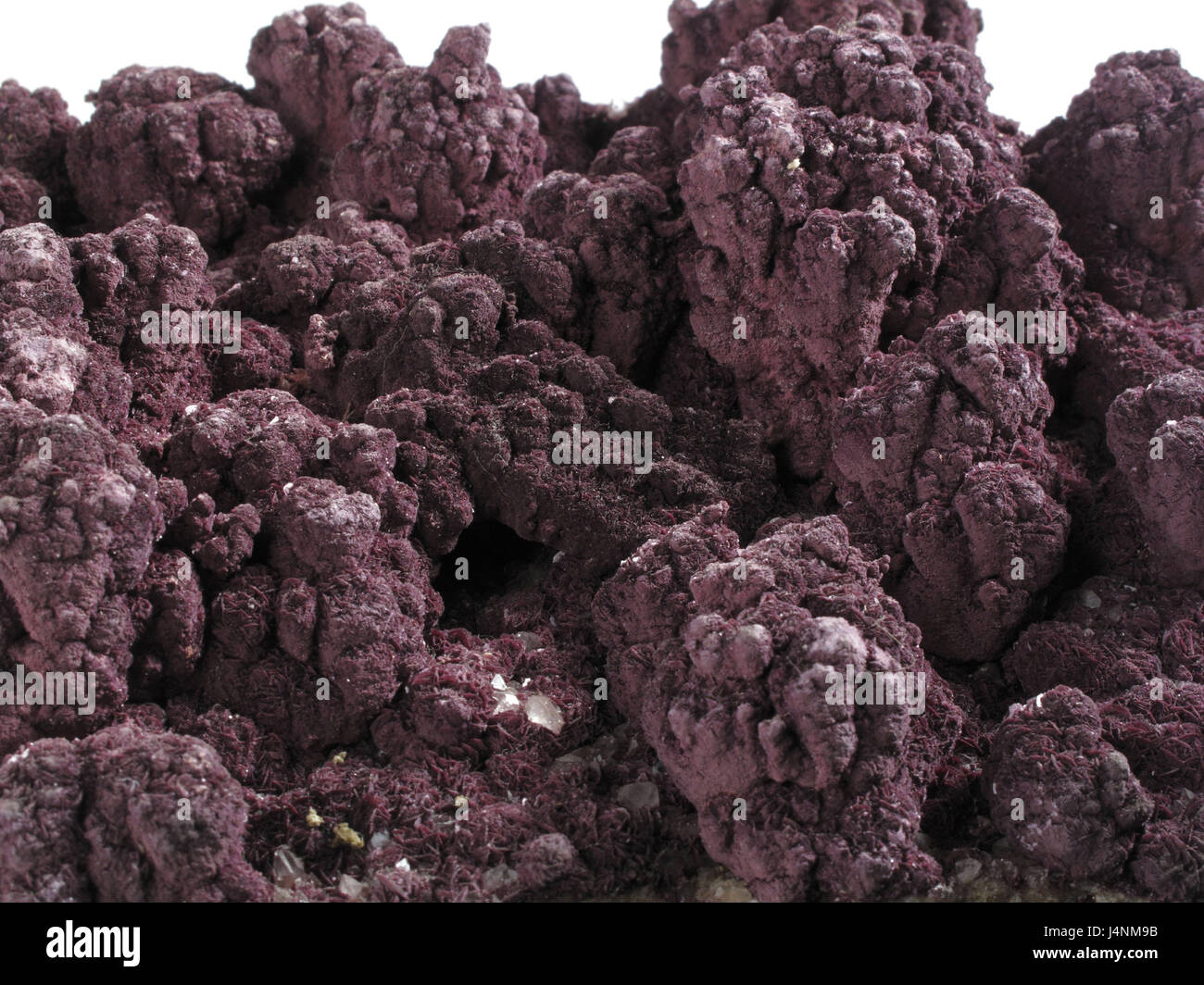 Cream of tartar, reddish, close up, wine cask, barrel, crystals, tartaric acid, salts, Kaliumhydrogentartrat, wine production, production, red wine, Winzerei, background, structure, Stock Photo