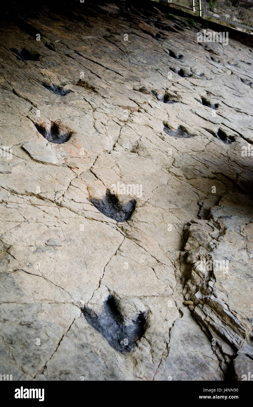 Footprints of theropod Buckeburgichnus dinosaur. Los Cayos site near CORNAGO village, La Rioja, Spain. theropoda theropods Saurischia  carnivorous Stock Photo