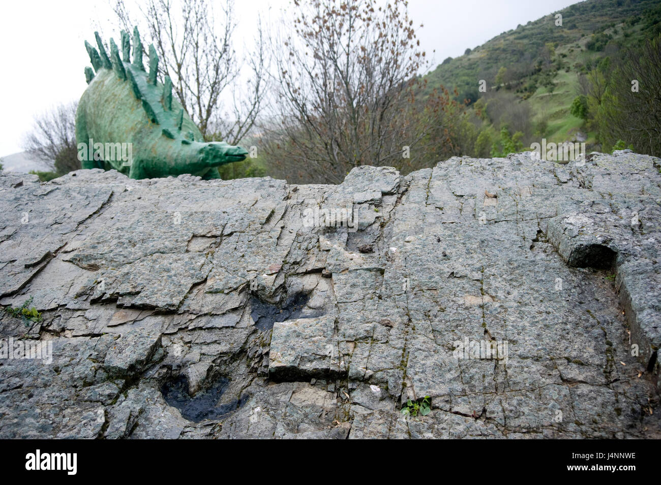 Footprints of ornithopod dinosaur in Santa Cruz de Yanguas, Soria, Spain. Stock Photo