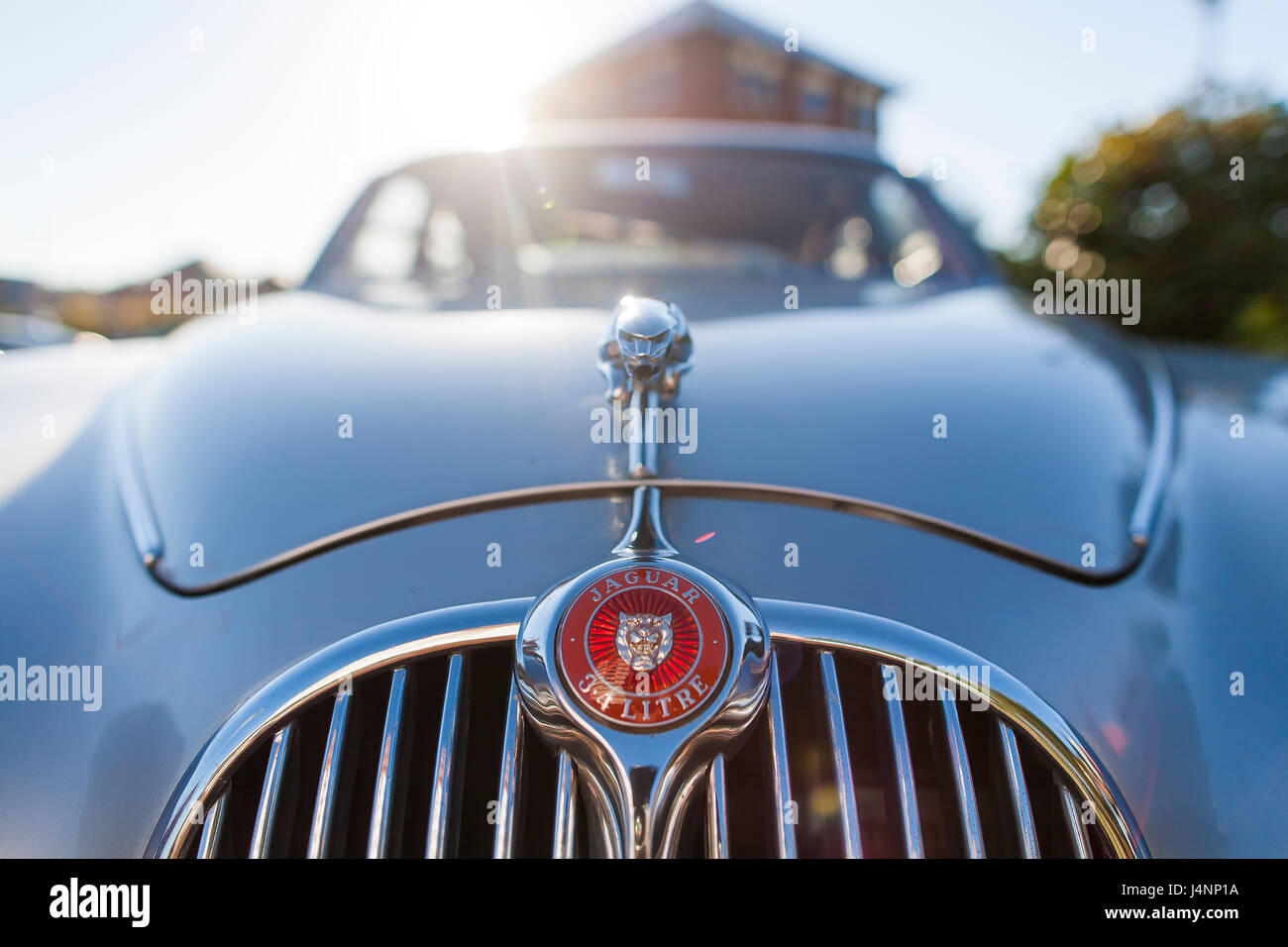 the Jaguar car company emblem or marque on the front grill at Liverpool  Cars and Coffee, a petrolheads meet for car and automobile enthusiasts  Stock Photo - Alamy