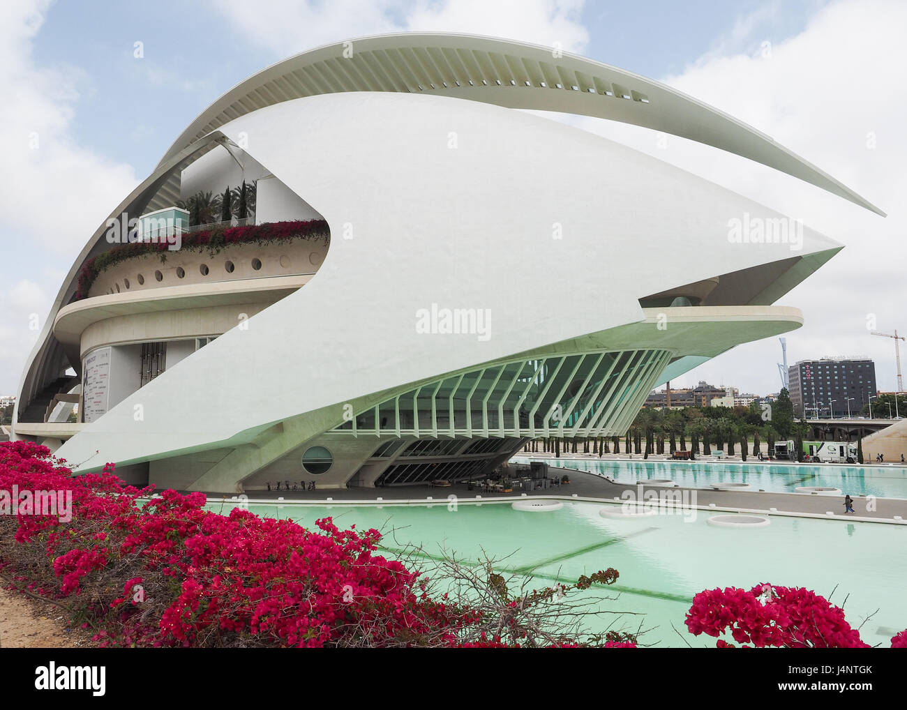 a Calatrava architecture Queen Sofia Palace of the Arts at the Cultural Centre City of Arts and